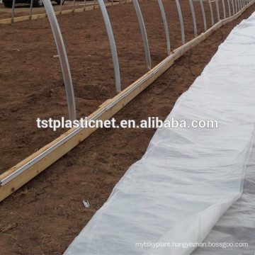 Greenhouse UV Plastics Sheet